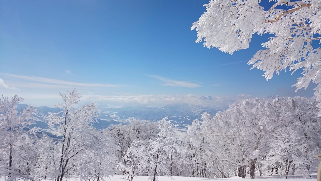 Hotel Nozawa Dream Exteriér fotografie