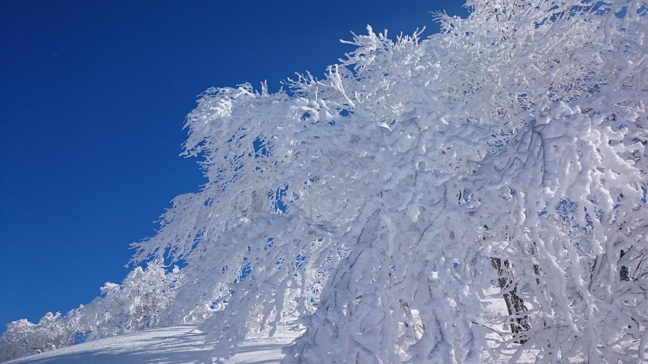 Hotel Nozawa Dream Exteriér fotografie